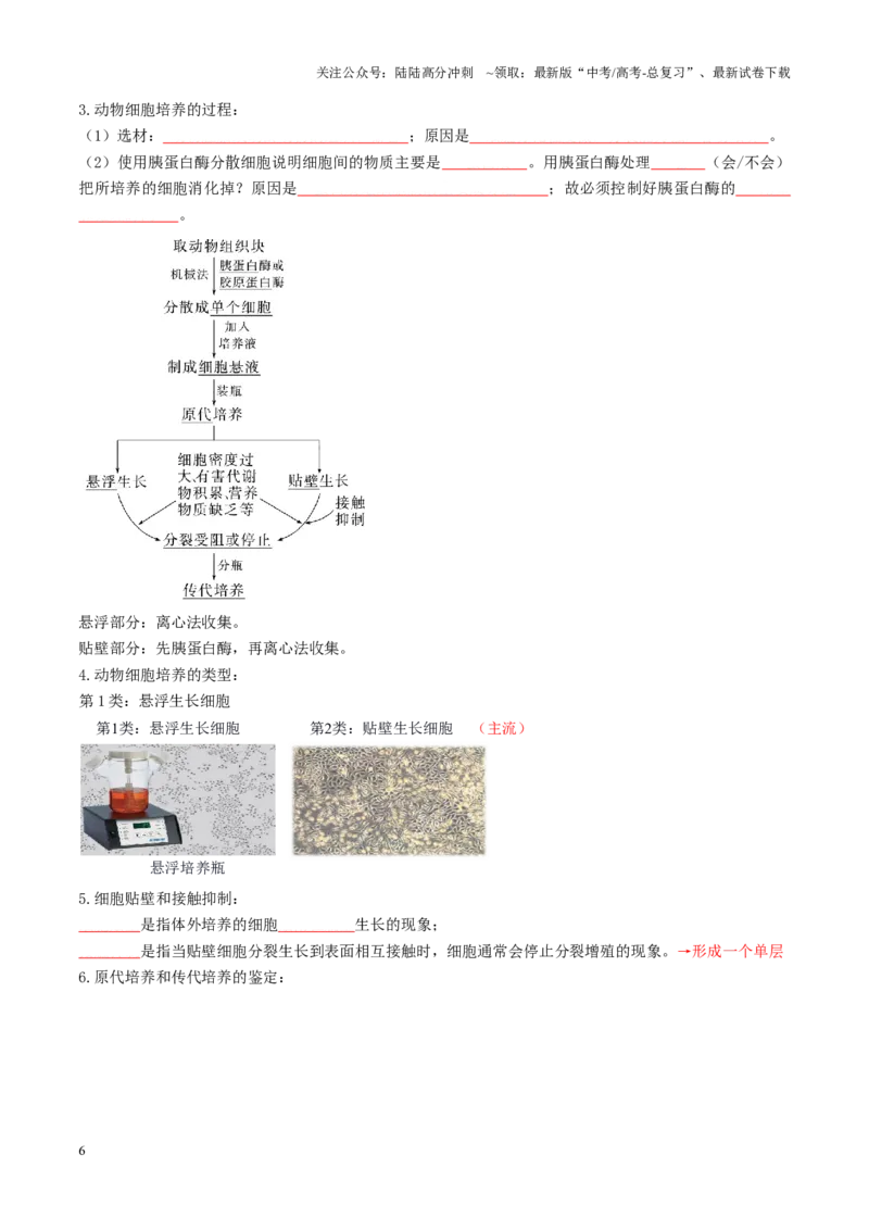 《第40讲动物细胞工程（讲义）（学生版）_06-生物-高考总复习_一轮复习_2025年_2025年新高考生物一轮复习讲义PPT知识点习题训_资料_第十单元生物技术与工程》第6页预览