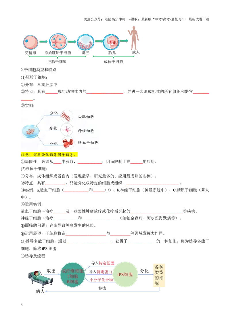 《第40讲动物细胞工程（讲义）（学生版）_06-生物-高考总复习_一轮复习_2025年_2025年新高考生物一轮复习讲义PPT知识点习题训_资料_第十单元生物技术与工程》第8页预览