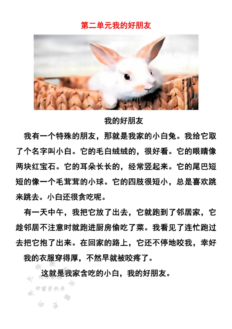 《二下语文1-8单元看图写作范文梳理SY_2年级下册同步教辅_2下-语文_二下语文-看图写话》第4页预览