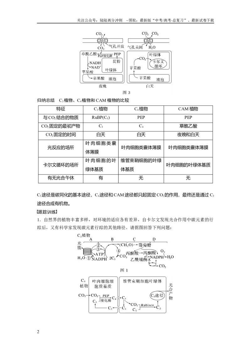 《第3单元　解惑练1　C3植物、C4植物和CAM植物_06-生物-高考总复习_一轮复习_2024年_2024高考生物大一轮复习课件讲义新人教版知识总结_2024年高考生物一轮复习讲义（新人教版）_一轮复习69练》第2页预览