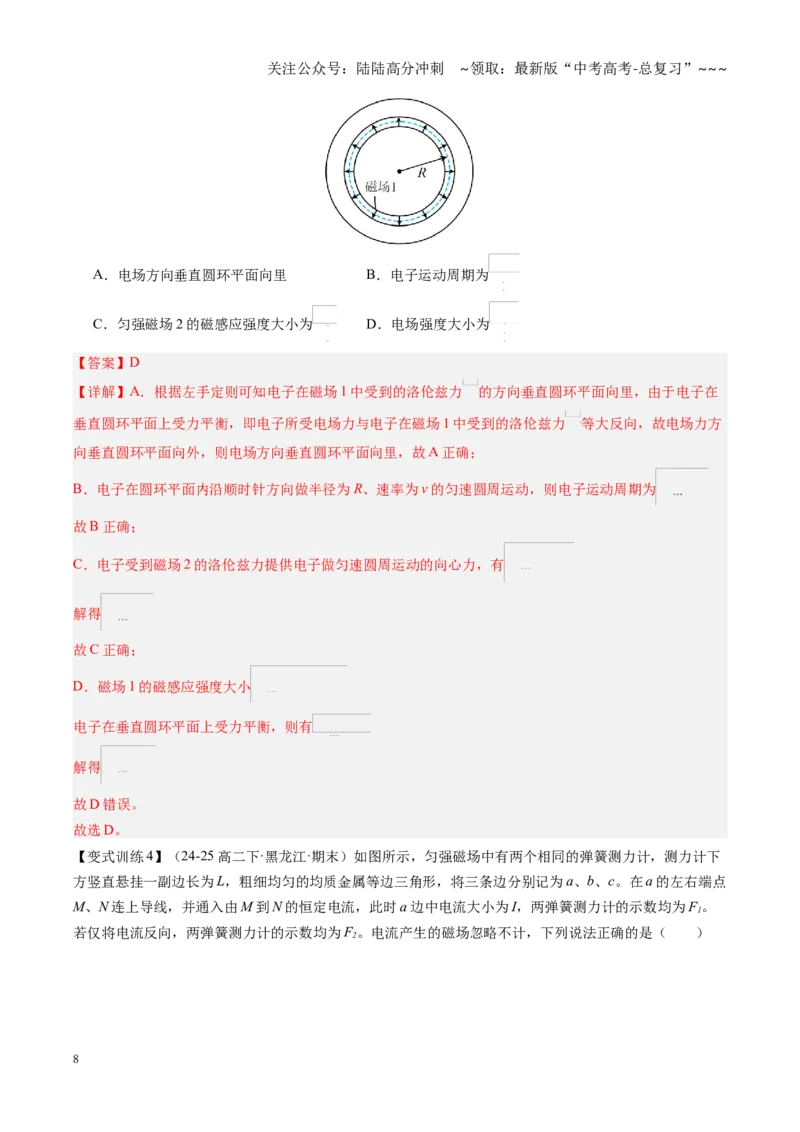 《第45讲带电粒子在磁场中的运动（复习讲义）（黑吉辽专用）（教师版）_04-物理-高考总复习_一轮复习_2026年-物理高考一轮复习_2026年高考物理一轮课件+讲义+练习（黑吉辽蒙专用）-G330》第8页预览