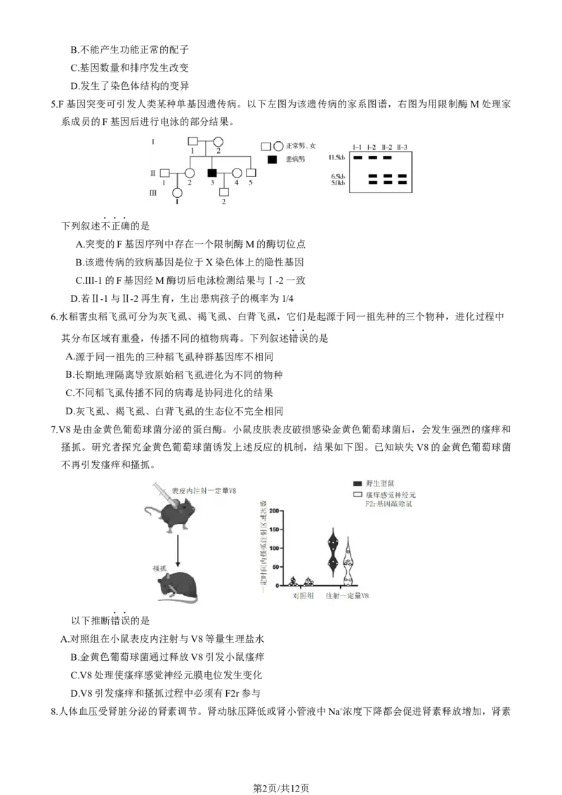 《2_2024北京市朝阳一模（试卷+答案）_2025版教学资源包_（总复习系列）2025版《5年高考3年模拟》新高考版B版（⭐全科）_2025版.新高考新教材版.选考总复习.生物.5·3B版_1_资源拓展》第2页预览