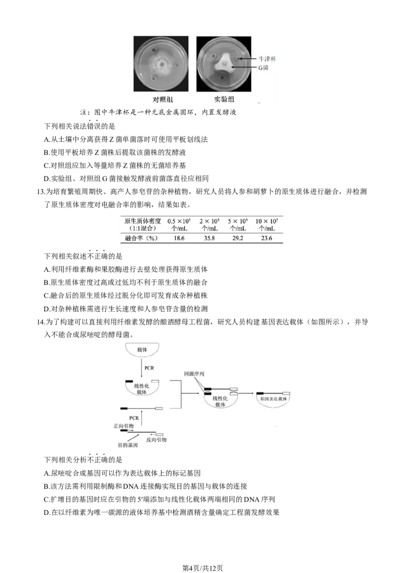 《2_2024北京市朝阳一模（试卷+答案）_2025版教学资源包_（总复习系列）2025版《5年高考3年模拟》新高考版B版（⭐全科）_2025版.新高考新教材版.选考总复习.生物.5·3B版_1_资源拓展》第4页预览