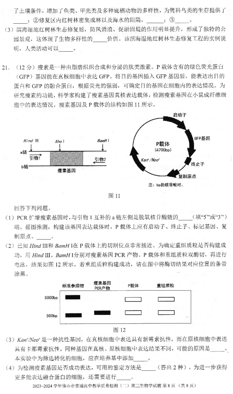 《22_2024广东佛山二模（试卷+答案）_2025版教学资源包_（总复习系列）2025版《5年高考3年模拟》新高考版B版（⭐全科）_2025版.新高考新教材版.选考总复习.生物.5·3B版_1_资源拓展》第8页预览