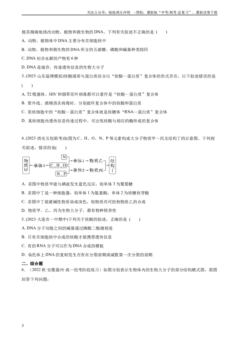 《第4讲遗传信息的携带者——核酸（原卷版）_06-生物-高考总复习_一轮复习_2024年_2024年高考生物一轮复习考点帮（全国通用）》第3页预览