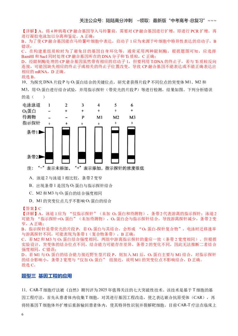 《第42讲基因工程及生物技术的安全性和伦理问题（专项训练）（教师版）_06-生物-高考总复习_一轮复习_2026年-生物高考一轮复习_2026年高考生物一轮课件+讲义+练习（湖南专用）-G331》第6页预览