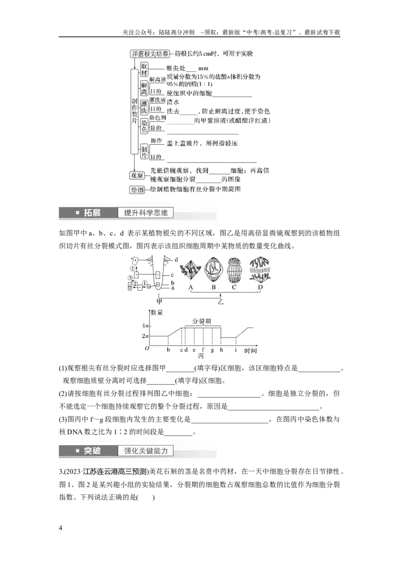 《第4单元　第2课时　有丝分裂过程中相关变化及观察实验_06-生物-高考总复习_一轮复习_2024年_2024高考生物大一轮复习课件讲义新人教版知识总结_2024年高考生物一轮复习讲义（新人教版）》第4页预览