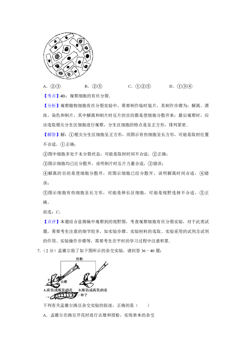 《2009年江苏省高考生物试卷解析版(1)_高考一二三轮复习_生物_2027年高考生物专项_2008年-2026年生物高考真题-G427_2008-2020年高考_地方卷_江苏高考生物07-20_A4word版_PDF版（赠送）》第5页预览