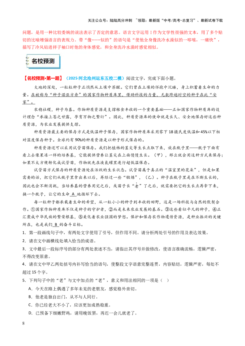 《语文（四）（教师版）-90页_专项复习_2025年_2025年高考考前20天终极冲刺攻略语文_2025届》第9页预览