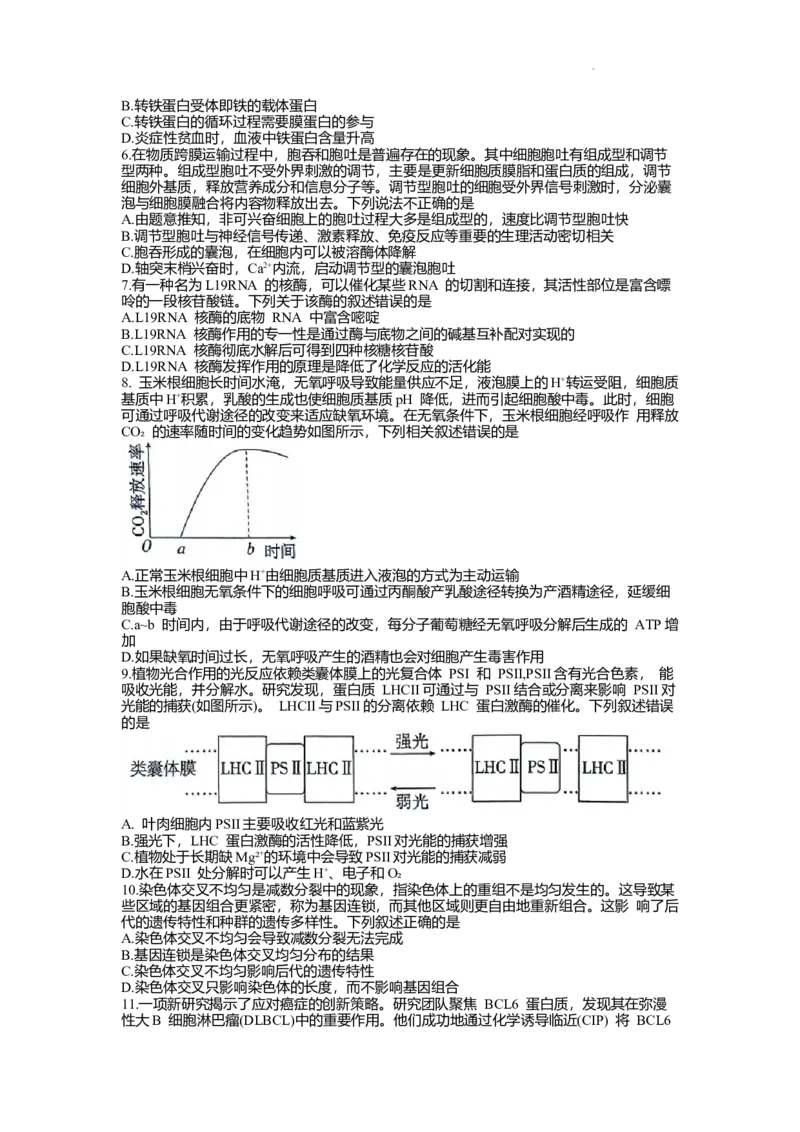 《24_山东省新高考联合质量测评2023-2024学年高三上学期开学联考_2025版教学资源包_（总复习系列）2025版《5年高考3年模拟》新高考版A版（⭐全科）_2025版.新高考版.选考总复习.生物.5·3A版》第2页预览