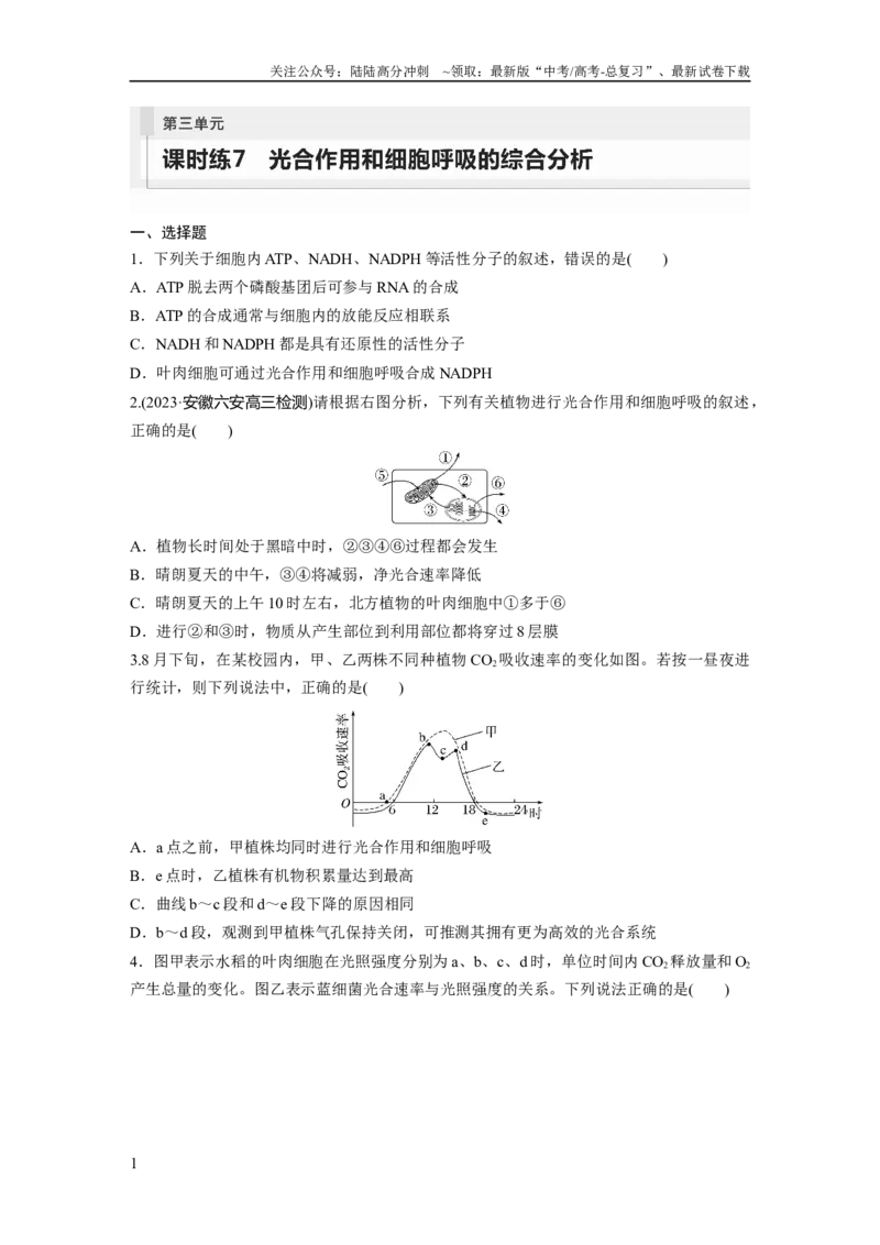 《第3单元　课时练7　光合作用和细胞呼吸的综合分析_06-生物-高考总复习_一轮复习_2024年_2024高考生物大一轮复习课件讲义新人教版知识总结_2024年高考生物一轮复习讲义（新人教版）》第1页预览