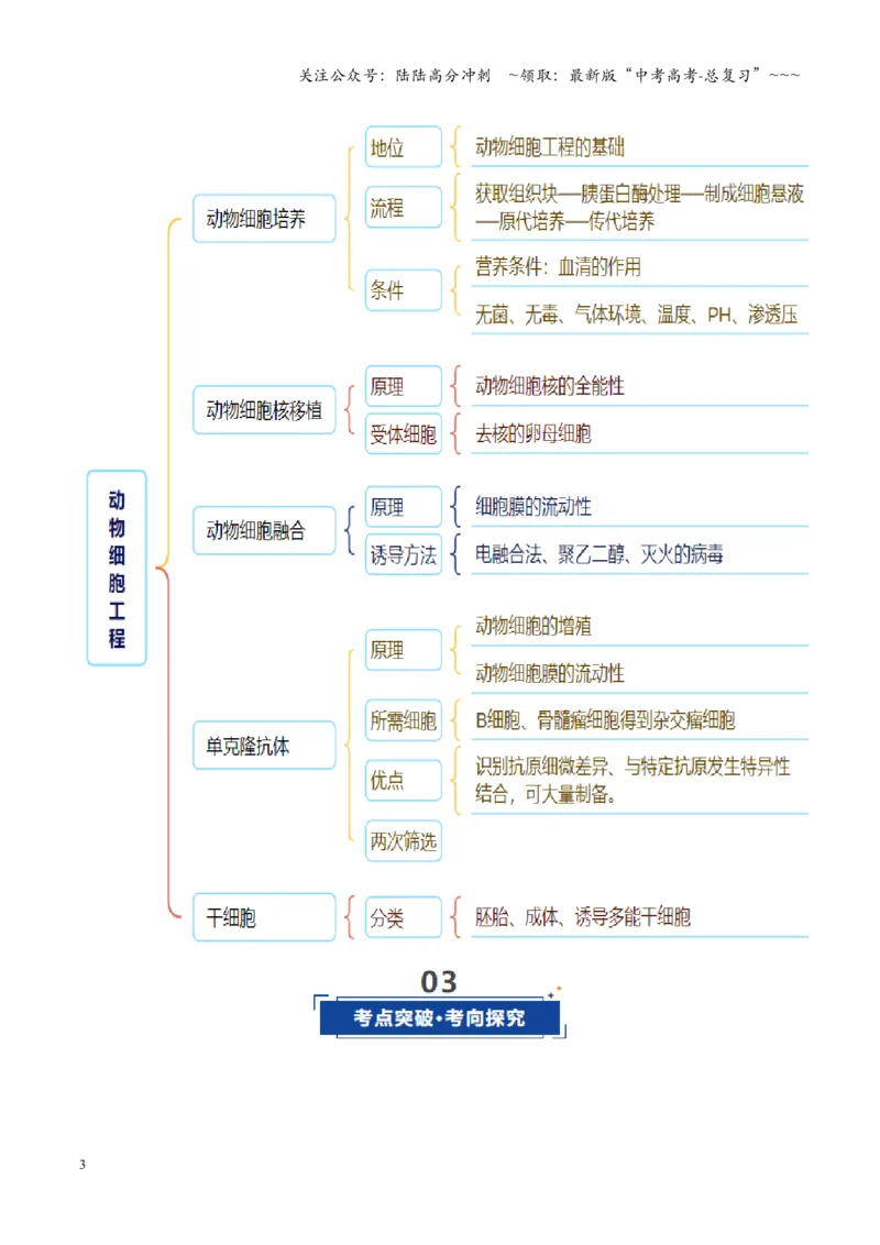 《第40讲动物细胞工程（教师版）_06-生物-高考总复习_一轮复习_2026年-生物高考一轮复习_2026年高考生物一轮复习讲义+练习+课件（新教材新高考）-G55_2026版_第十单元生物技术与工程》第3页预览