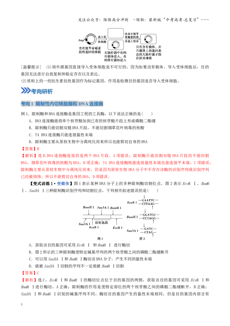 《第42讲基因工程以及生物技术的安全性和伦理问题（教师版）_06-生物-高考总复习_一轮复习_2026年-生物高考一轮复习_2026年高考生物一轮复习讲义+练习+课件（新教材新高考）-G55_2026版》第7页预览