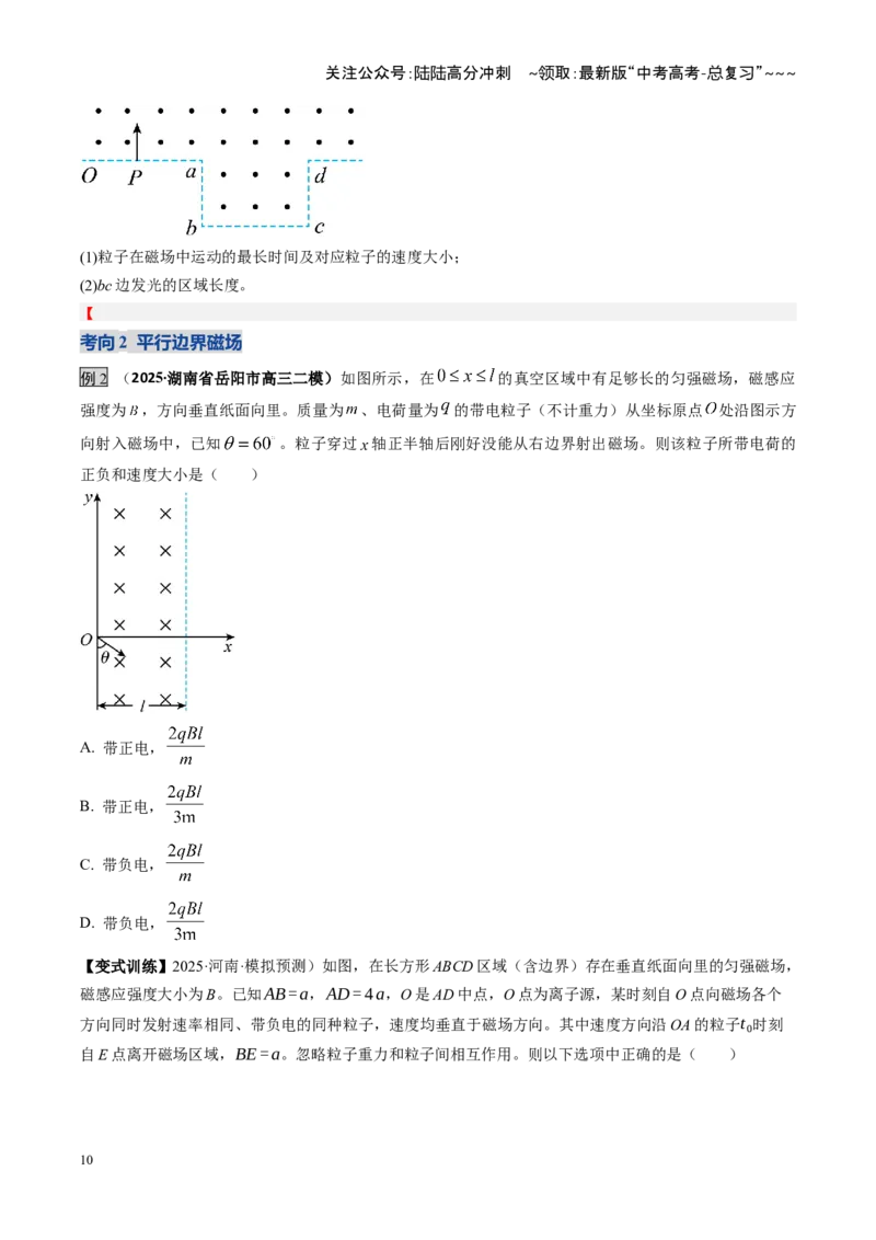 《第47讲带电粒子在磁场中的运动（复习讲义）（湖南专用）（学生版）_04-物理-高考总复习_一轮复习_2026年-物理高考一轮复习_2026年高考物理一轮课件+讲义+练习（湖南专用）-G331》第10页预览