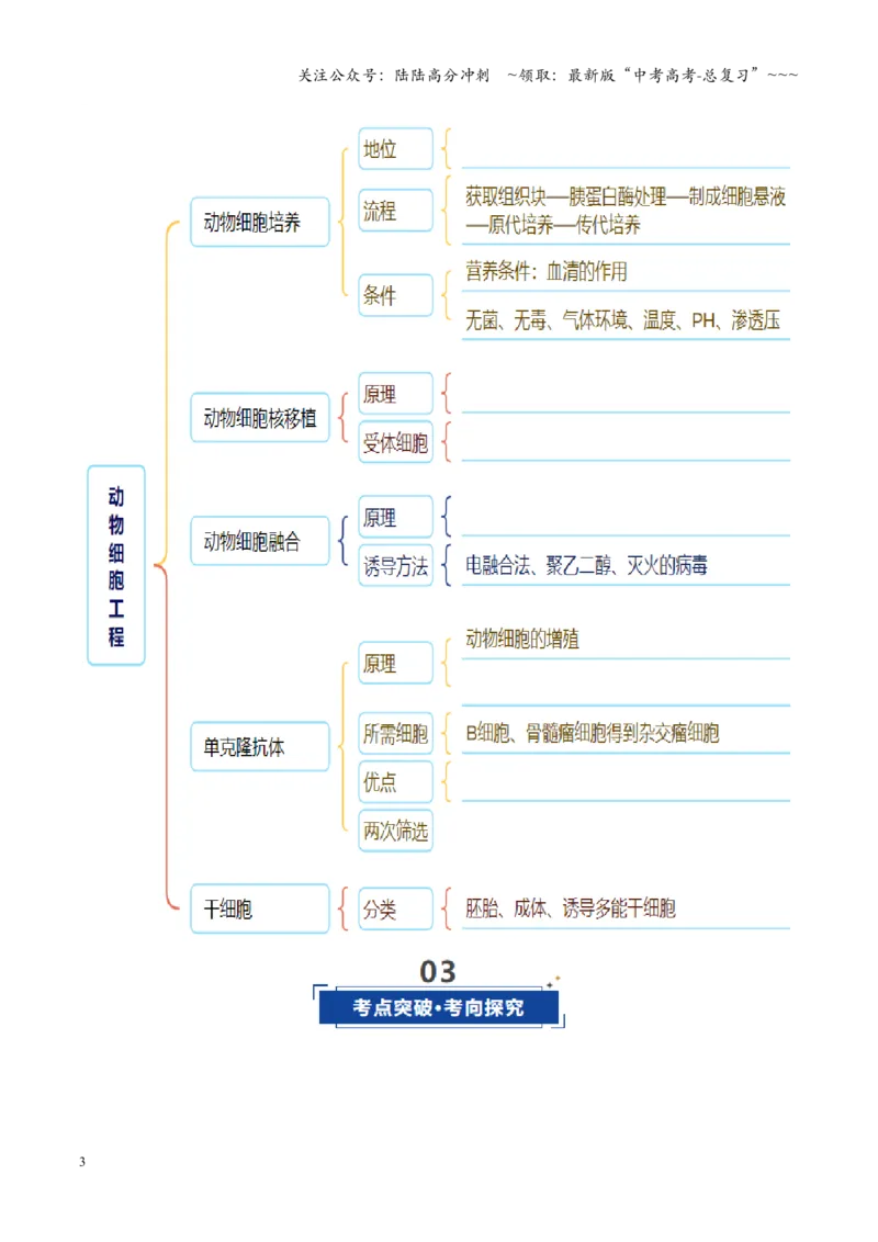 《第40讲动物细胞工程（学生版）_06-生物-高考总复习_一轮复习_2026年-生物高考一轮复习_2026年高考生物一轮复习讲义+练习+课件（新教材新高考）-G55_2026版_第十单元生物技术与工程》第3页预览