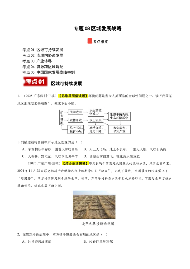 《专题08区域发展战略（新高考通用）（学生版）_地理_2026年-地理高考专项复习_2025年高考地理三模试题分类汇编（新高考通用）_2025版》第1页预览