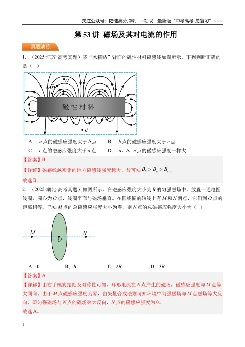 《第53讲磁场及其对电流的作用-（练习）（教师版）_04-物理-高考总复习_一轮复习_2026年-物理高考一轮复习_2026年高考物理一轮复习精讲精练-G367_资料》第1页预览