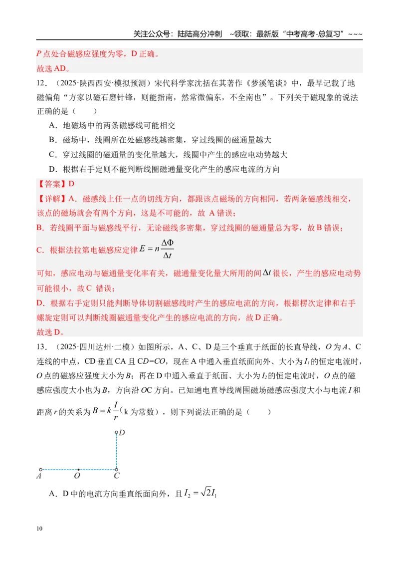 《第53讲磁场及其对电流的作用-（练习）（教师版）_04-物理-高考总复习_一轮复习_2026年-物理高考一轮复习_2026年高考物理一轮复习精讲精练-G367_资料》第10页预览