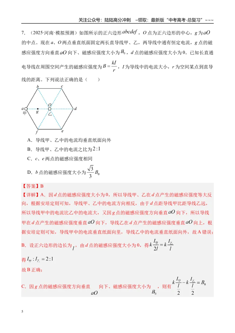 《第53讲磁场及其对电流的作用-（练习）（教师版）_04-物理-高考总复习_一轮复习_2026年-物理高考一轮复习_2026年高考物理一轮复习精讲精练-G367_资料》第5页预览