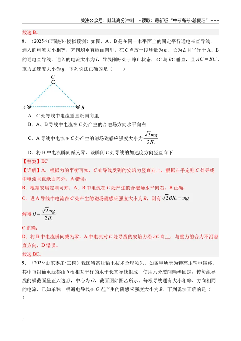 《第53讲磁场及其对电流的作用-（练习）（教师版）_04-物理-高考总复习_一轮复习_2026年-物理高考一轮复习_2026年高考物理一轮复习精讲精练-G367_资料》第7页预览