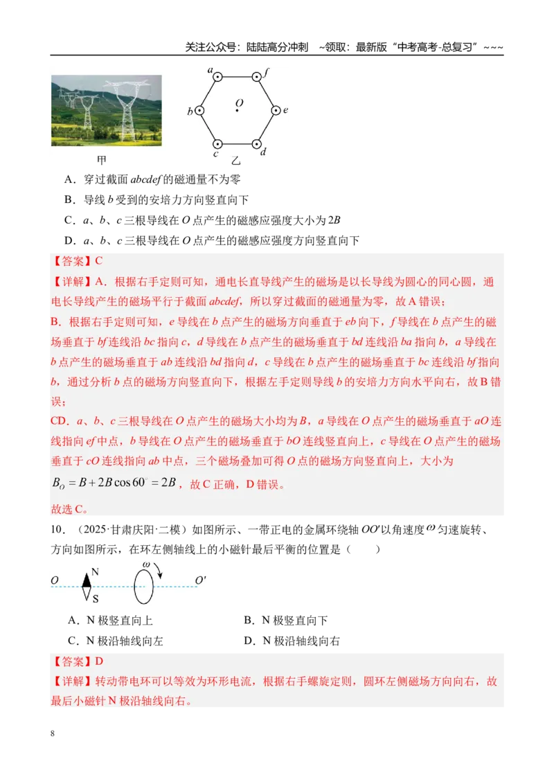 《第53讲磁场及其对电流的作用-（练习）（教师版）_04-物理-高考总复习_一轮复习_2026年-物理高考一轮复习_2026年高考物理一轮复习精讲精练-G367_资料》第8页预览