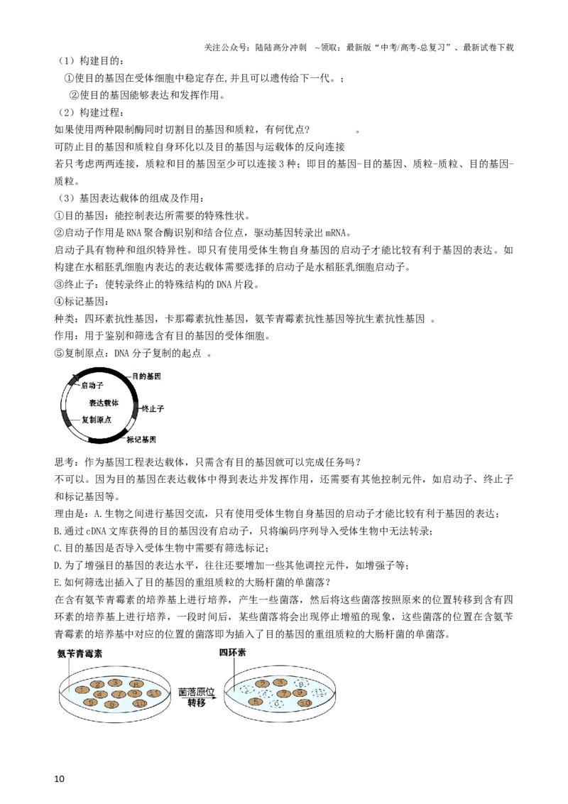 《第43讲基因工程（讲义）（教师版）_06-生物-高考总复习_一轮复习_2024年_2024年高考生物一轮复习讲练测(课件+讲义+练习)（新高考）_讲义+练习》第10页预览