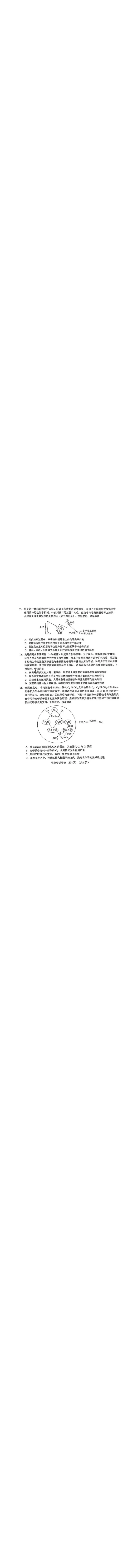 《24_2024广东广州二模（试卷+答案）_2025版教学资源包_（总复习系列）2025版《5年高考3年模拟》新高考版B版（⭐全科）_2025版.新高考新教材版.选考总复习.生物.5·3B版_1_资源拓展》第4页预览