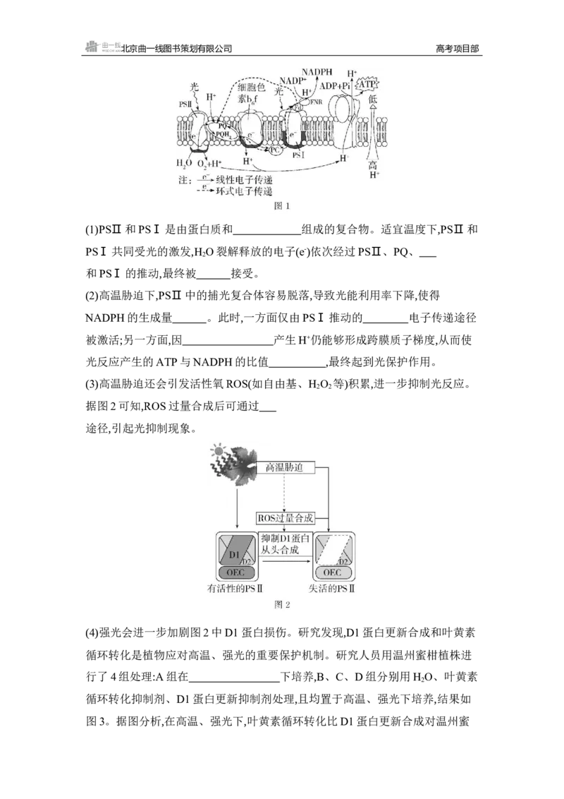 《1_专题过关检测练Word-第5章　细胞的能量供应和利用_2026版教学资源包_202653高考总复习A版_湖南版_2026版.湖南版.选考总复习.生物.5·3A版_第1部分分子与细胞_第5章细胞的能量供应和利用》第7页预览