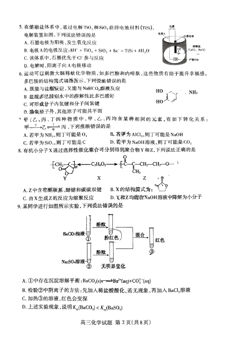 《38_05化学山东泰安市（二模）试卷+标答评分细则_2025版教学资源包_（总复习系列）2025版《5年高考3年模拟》新高考版B版（⭐全科）_2025版.新高考新教材版.选考总复习.化学.5·3B版》第2页预览