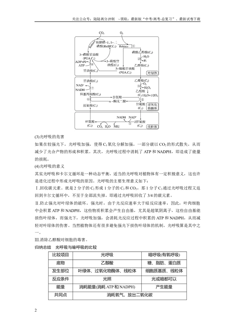 《第3单元　解惑练2　光呼吸和光抑制_06-生物-高考总复习_一轮复习_2024年_2024高考生物大一轮复习课件讲义新人教版知识总结_2024年高考生物一轮复习讲义（新人教版）_学生版在此文件夹》第2页预览