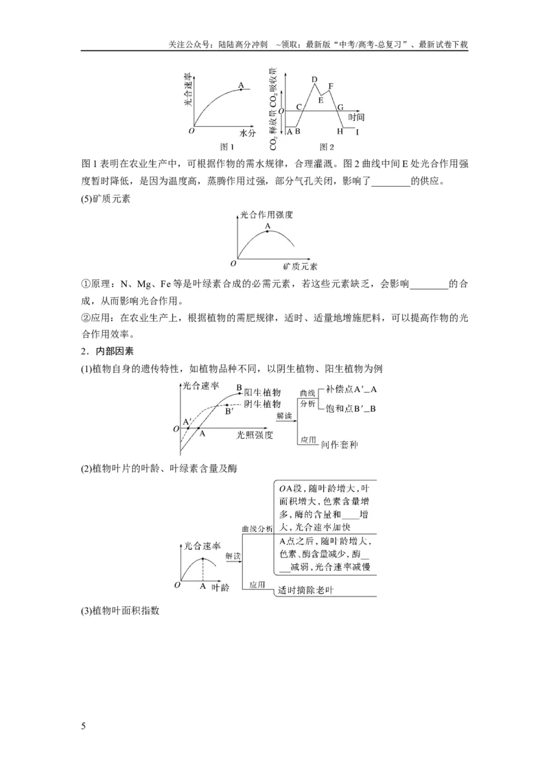 《第3单元　第6课时　光合作用的影响因素及其应用_06-生物-高考总复习_一轮复习_2024年_2024高考生物大一轮复习课件讲义新人教版知识总结_2024年高考生物一轮复习讲义（新人教版）》第5页预览