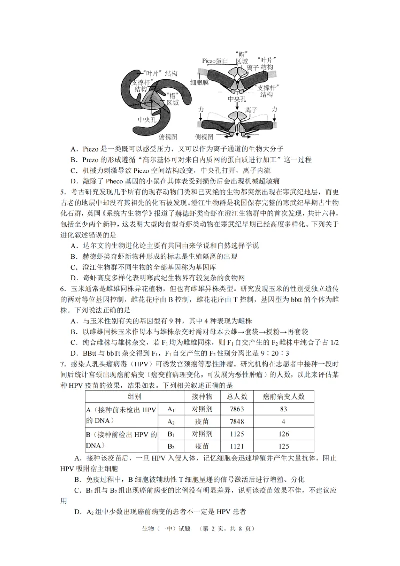 《28_2024湖南长沙第一中一模（试卷+答案）_2025版教学资源包_（总复习系列）2025版《5年高考3年模拟》新高考版B版（⭐全科）_2025版.新高考新教材版.选考总复习.生物.5·3B版_1_资源拓展》第2页预览