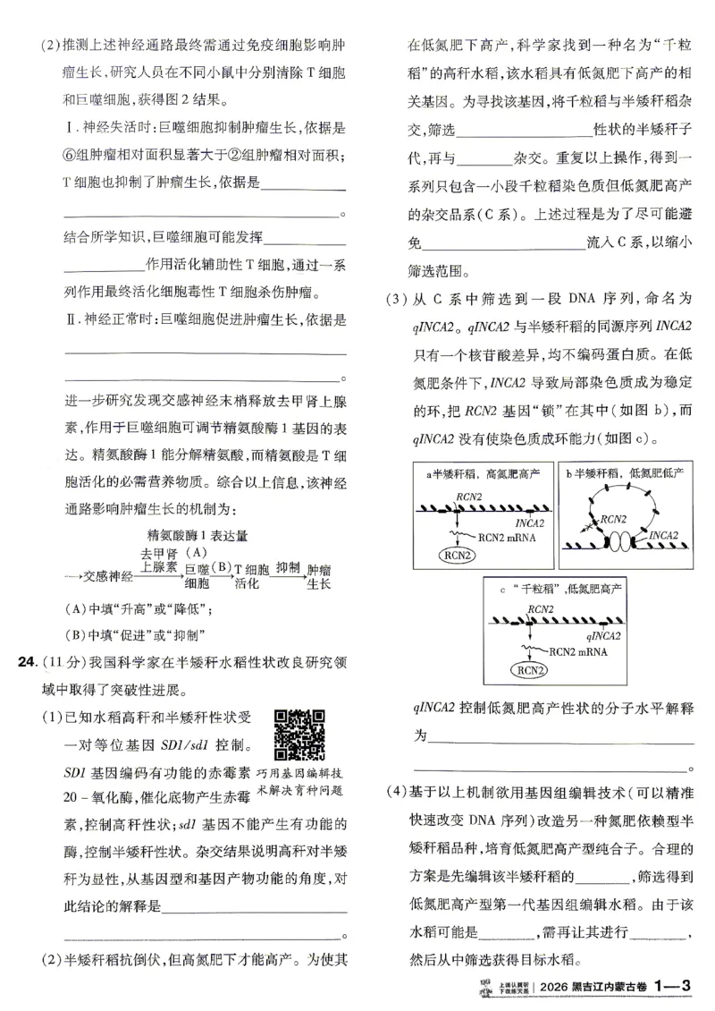 《2027金考卷特快专递第一期生物_652027《天星教育•金考卷特快专递》（第1-3期）（高考）（9科全）_2027《天星教育•金考卷特快专递》（第1期）（高考）（9科全）》第10页预览