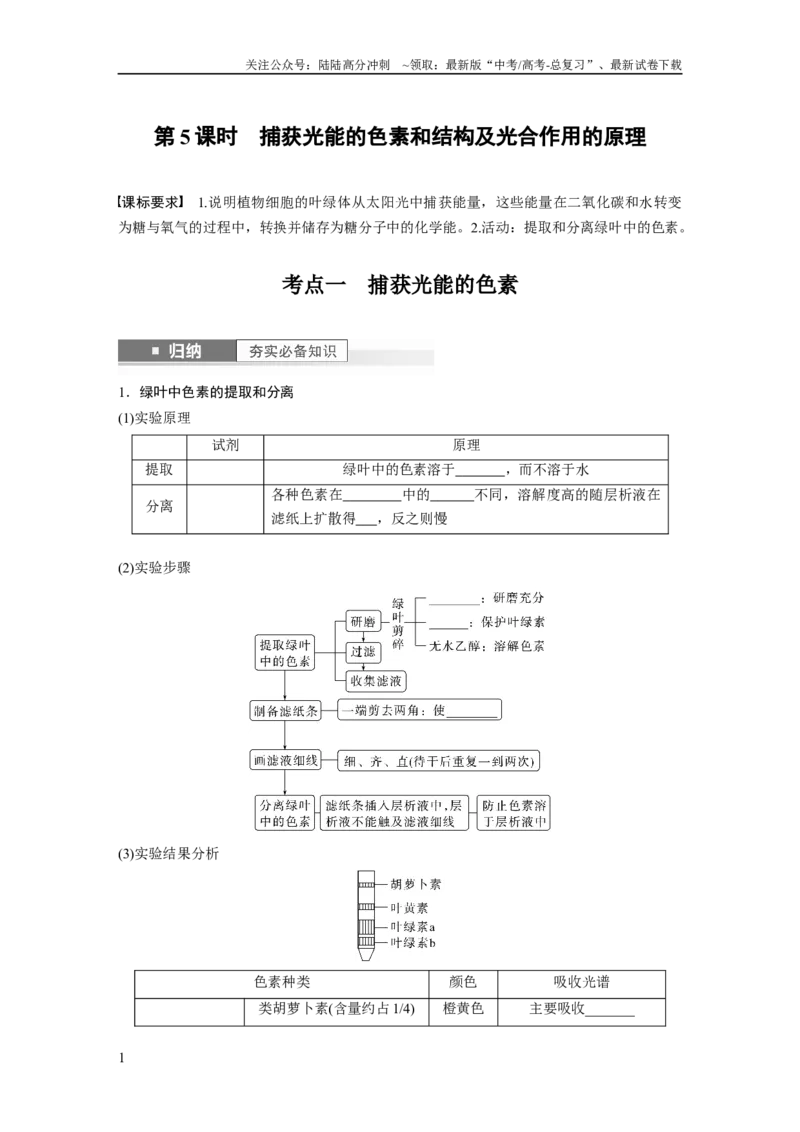 《第3单元　第5课时　捕获光能的色素和结构及光合作用的原理_06-生物-高考总复习_一轮复习_2024年_2024高考生物大一轮复习课件讲义新人教版知识总结_学生版在此文件夹_大一轮复习讲义》第1页预览