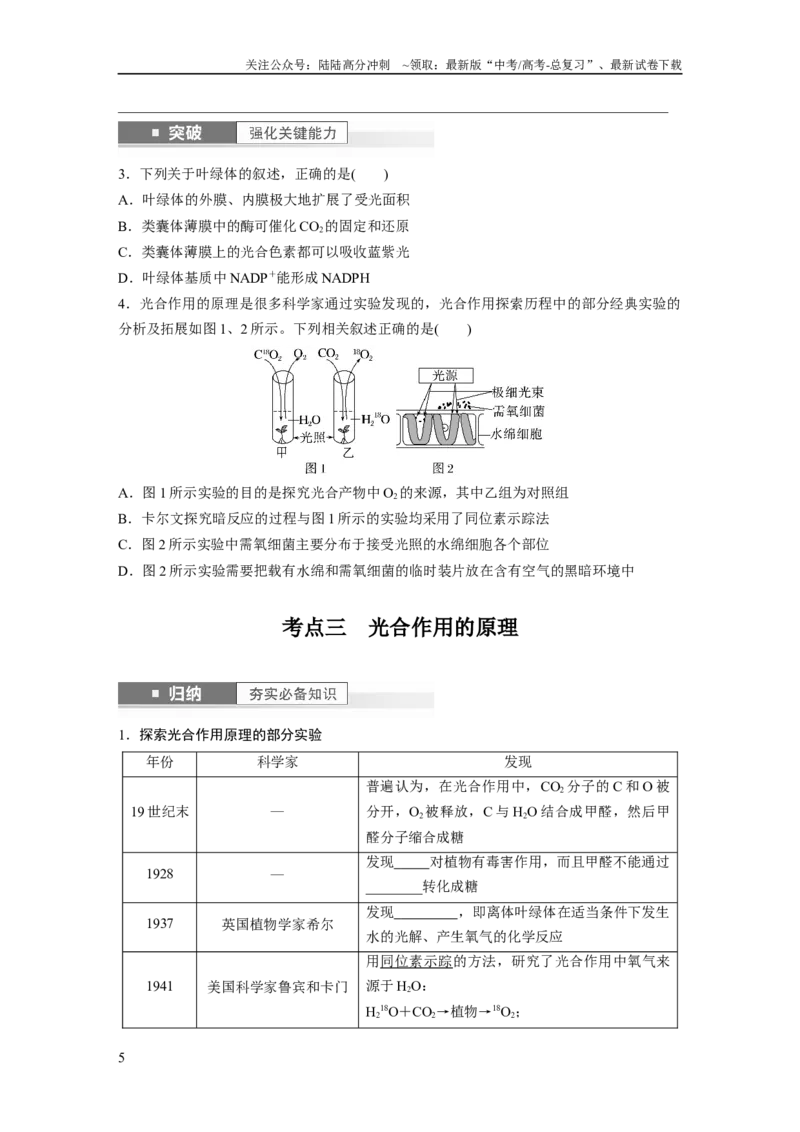 《第3单元　第5课时　捕获光能的色素和结构及光合作用的原理_06-生物-高考总复习_一轮复习_2024年_2024高考生物大一轮复习课件讲义新人教版知识总结_学生版在此文件夹_大一轮复习讲义》第5页预览