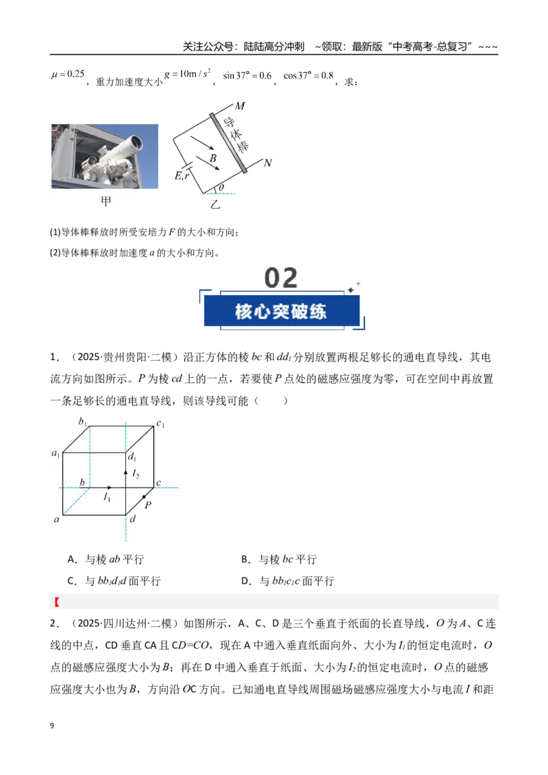 《第46讲磁场及其对电流的作用（专项训练）（湖南专用）（学生版）_04-物理-高考总复习_一轮复习_2026年-物理高考一轮复习_2026年高考物理一轮课件+讲义+练习（湖南专用）-G331》第9页预览