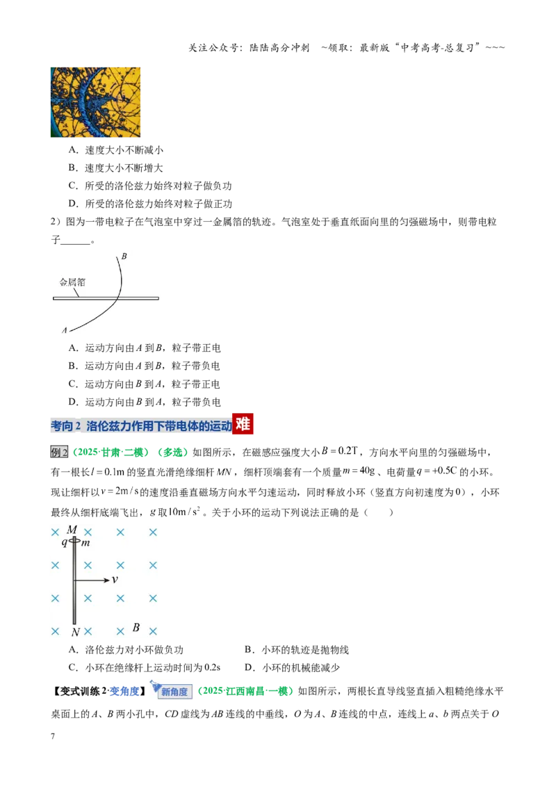 《第47讲带电粒子在磁场中的运动（复习讲义）（全国通用）（学生版）_04-物理-高考总复习_一轮复习_2026年-物理高考一轮复习_2026年高考物理一轮复习讲义+练习+课件（新教材新高考）-G55》第7页预览