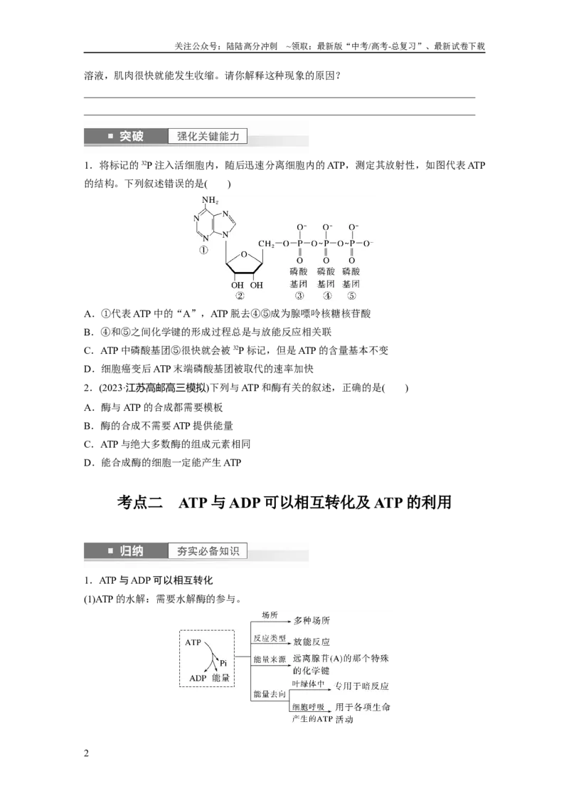 《第3单元　第2课时　细胞的能量“货币”ATP_06-生物-高考总复习_一轮复习_2024年_2024高考生物大一轮复习课件讲义新人教版知识总结_2024年高考生物一轮复习讲义（新人教版）_大一轮复习讲义》第2页预览