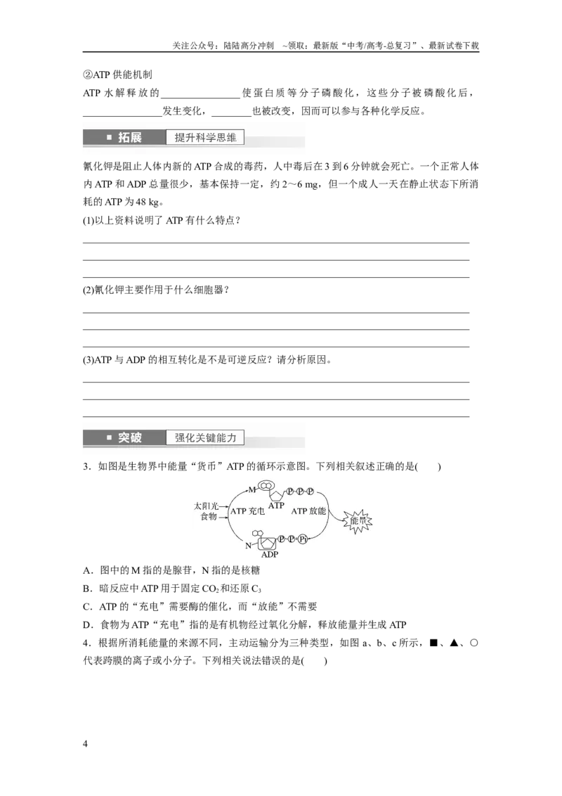 《第3单元　第2课时　细胞的能量“货币”ATP_06-生物-高考总复习_一轮复习_2024年_2024高考生物大一轮复习课件讲义新人教版知识总结_2024年高考生物一轮复习讲义（新人教版）_大一轮复习讲义》第4页预览