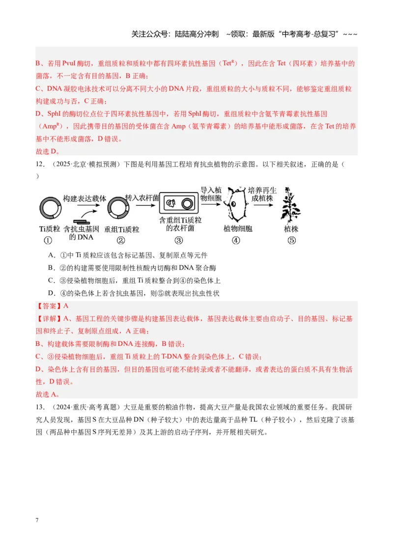 《第42讲基因工程、生物技术的安全性及伦理问题（专项训练）（安徽专用）（教师版）_06-生物-高考总复习_一轮复习_2026年-生物高考一轮复习》第7页预览