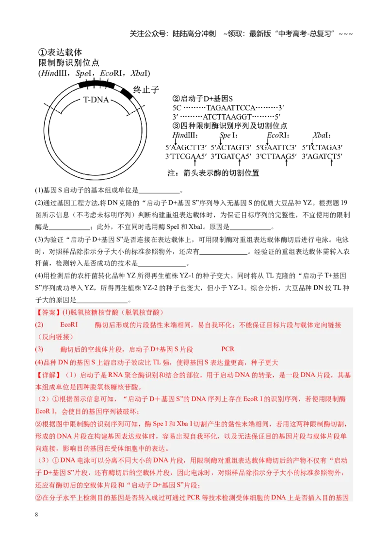 《第42讲基因工程、生物技术的安全性及伦理问题（专项训练）（安徽专用）（教师版）_06-生物-高考总复习_一轮复习_2026年-生物高考一轮复习》第8页预览