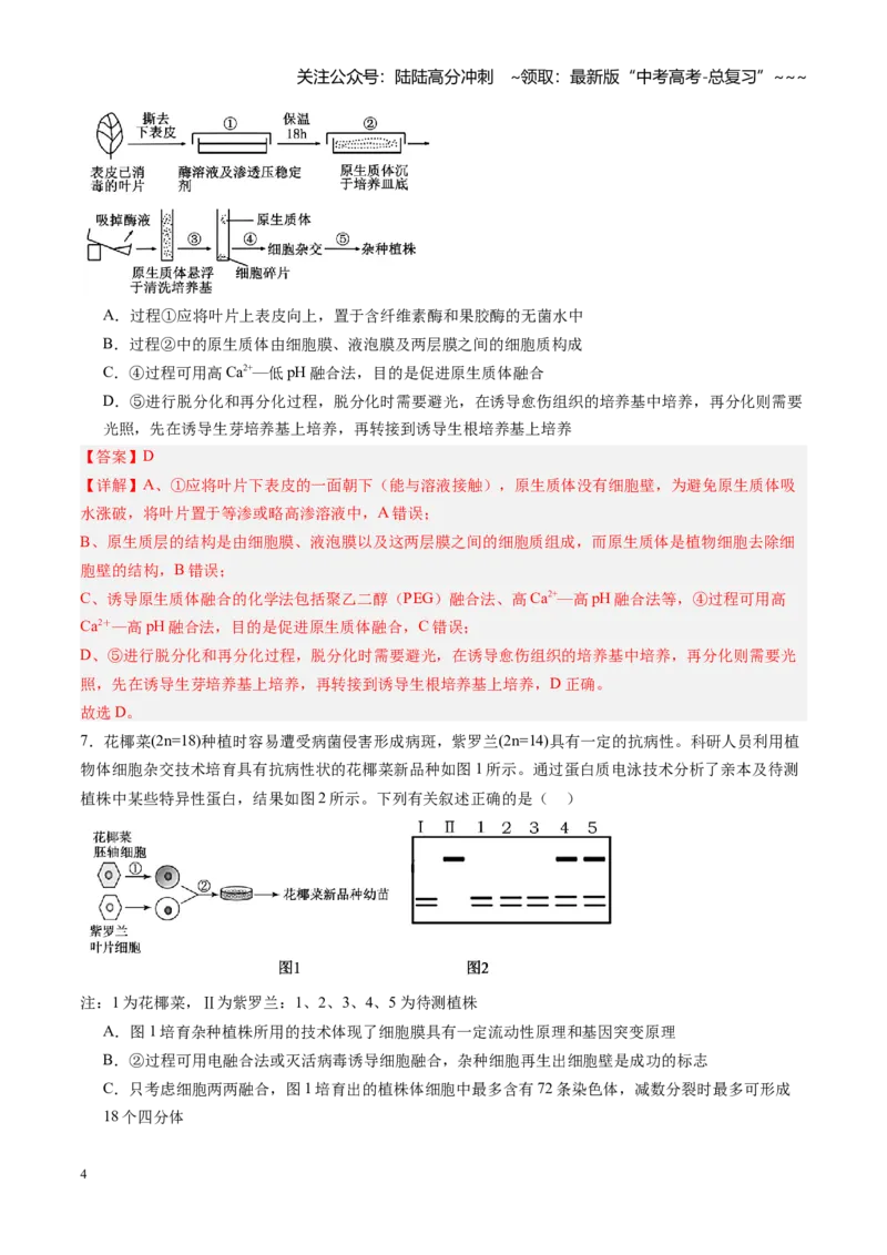 《第42讲植物细胞工程（专项训练）（福建专用）（教师版）_06-生物-高考总复习_一轮复习_2026年-生物高考一轮复习_2026年高考生物一轮课件+讲义+练习（福建专用）-G328》第4页预览
