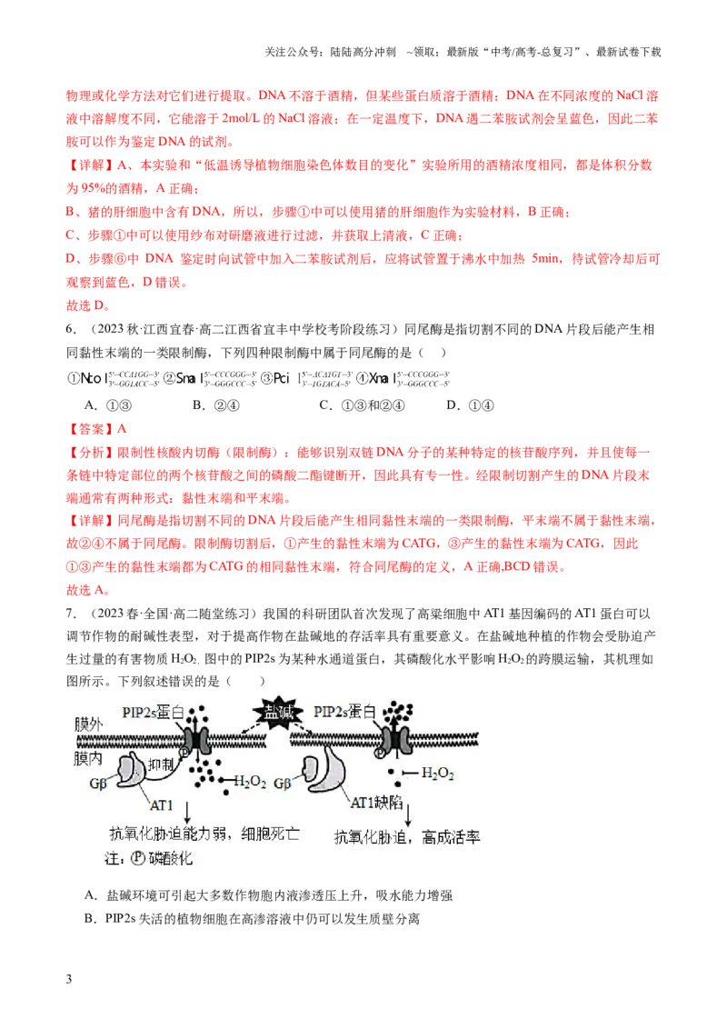 《第43讲基因工程（练习）（解析版）_06-生物-高考总复习_一轮复习_2024年_2024年高考生物一轮复习讲练测(课件+讲义+练习)（新高考）_讲义+练习》第3页预览