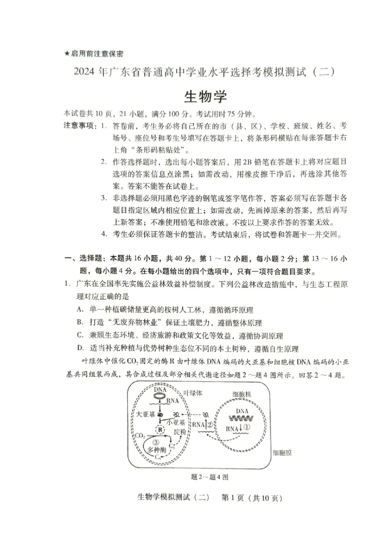《21_2024广东二模（试卷+答案）_2025版教学资源包_（总复习系列）2025版《5年高考3年模拟》新高考版B版（⭐全科）_2025版.新高考新教材版.选考总复习.生物.5·3B版_第二部分图书拓展资源》第1页预览