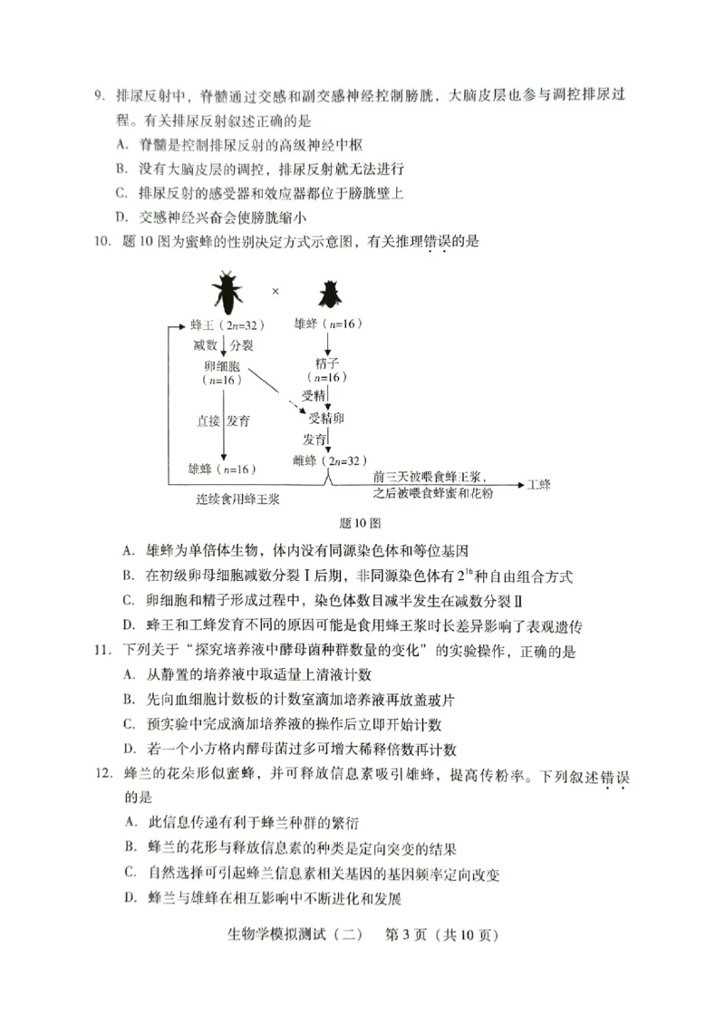 《21_2024广东二模（试卷+答案）_2025版教学资源包_（总复习系列）2025版《5年高考3年模拟》新高考版B版（⭐全科）_2025版.新高考新教材版.选考总复习.生物.5·3B版_第二部分图书拓展资源》第3页预览