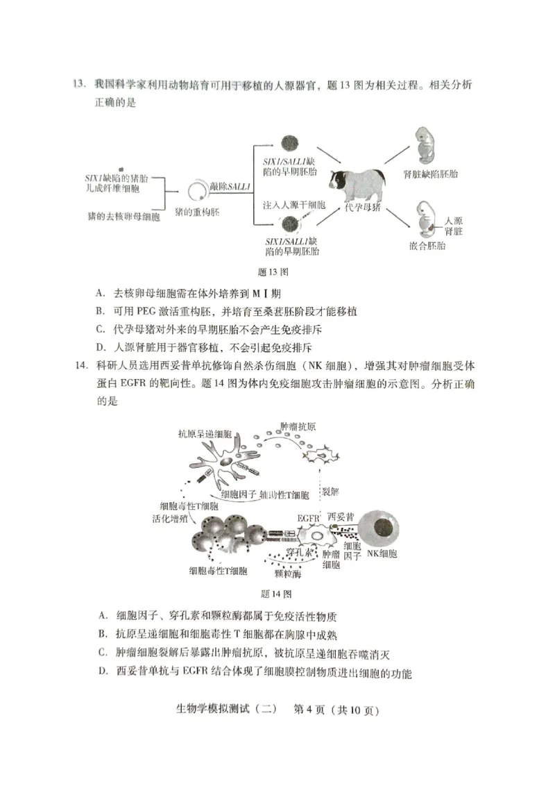 《21_2024广东二模（试卷+答案）_2025版教学资源包_（总复习系列）2025版《5年高考3年模拟》新高考版B版（⭐全科）_2025版.新高考新教材版.选考总复习.生物.5·3B版_第二部分图书拓展资源》第4页预览
