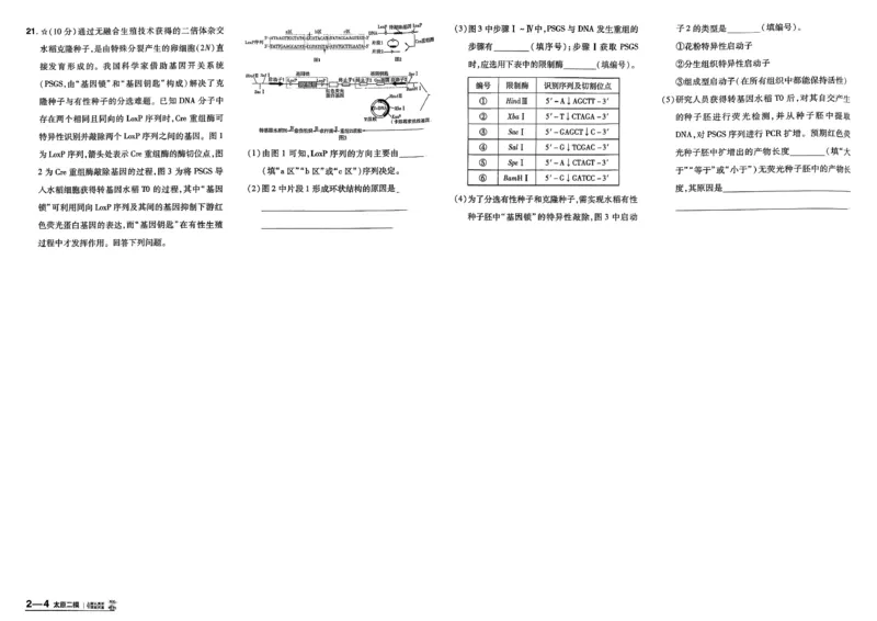 《主书_652027《天星教育•金考卷特快专递》（第1-3期）（高考）（9科全）_2027《天星教育•金考卷特快专递》（第2期）（高考）（9科全）_673》第9页预览