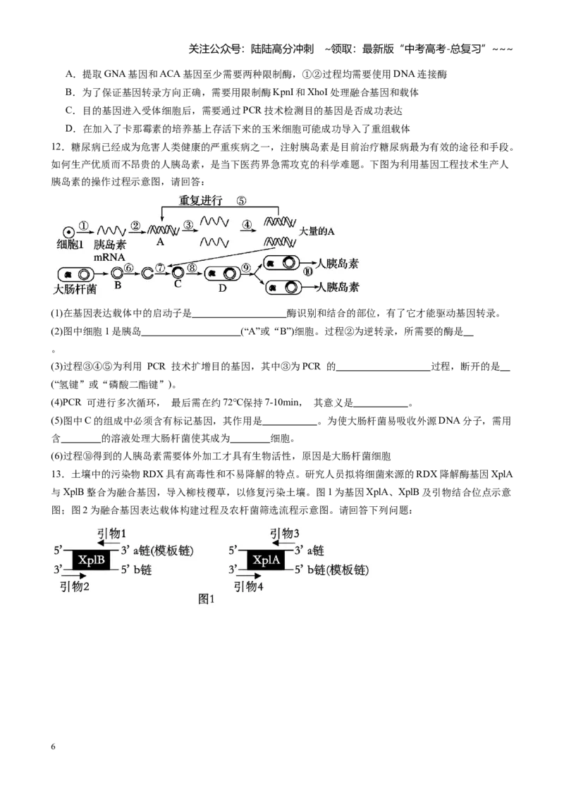 《第45讲基因工程以及生物技术的安全性和伦理问题（专项训练）（福建专用）（学生版）_06-生物-高考总复习_一轮复习_2026年-生物高考一轮复习》第6页预览