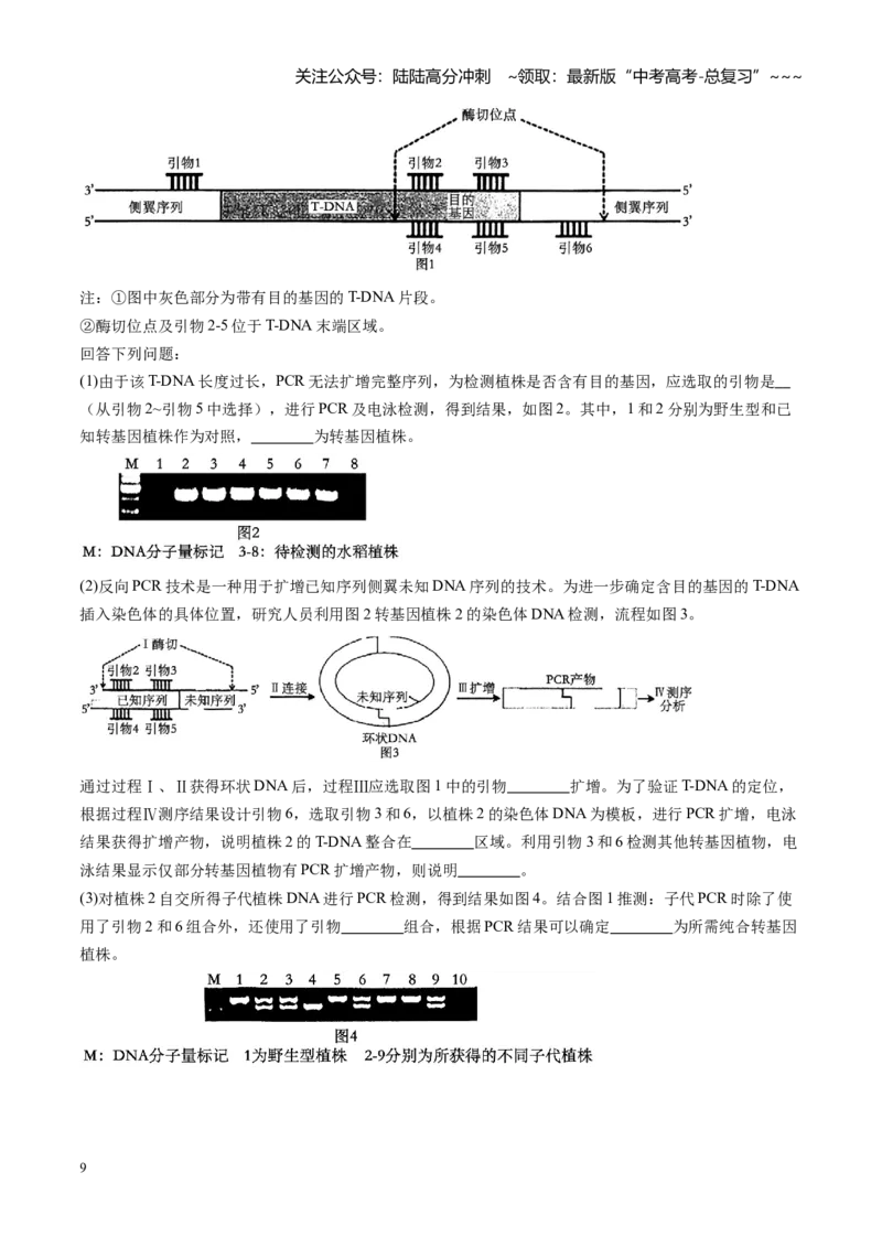 《第45讲基因工程以及生物技术的安全性和伦理问题（专项训练）（福建专用）（学生版）_06-生物-高考总复习_一轮复习_2026年-生物高考一轮复习》第9页预览