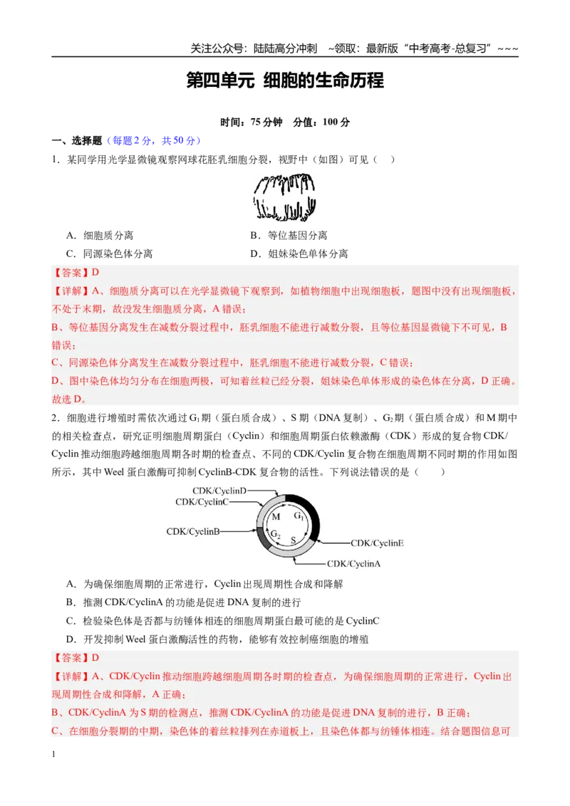 《第四单元细胞的生命历程（综合训练）（四川专用）（教师版）_06-生物-高考总复习_一轮复习_2026年-生物高考一轮复习_2026年高考生物一轮课件+讲义+练习（四川专用）-G335》第1页预览